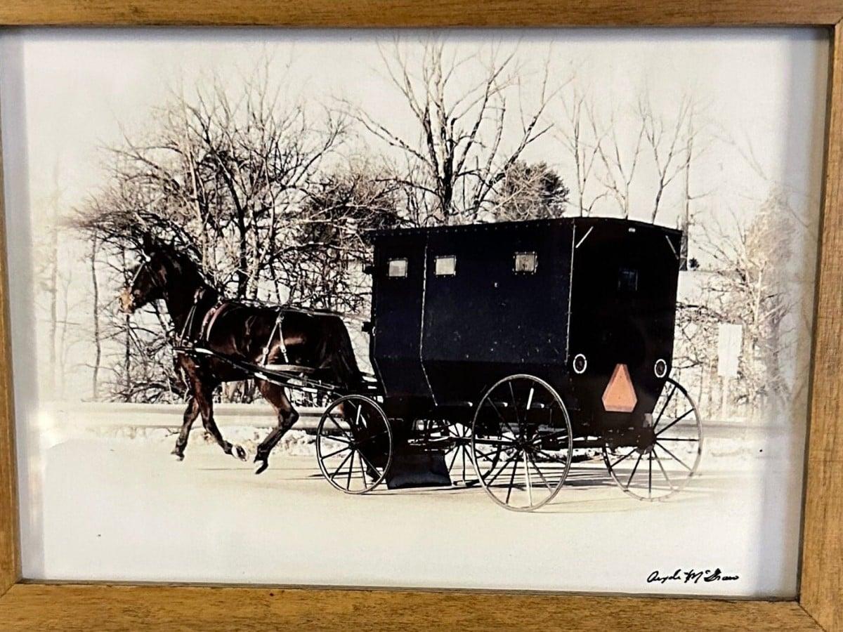 My signed photograph of an Amish horse and buggy in winter