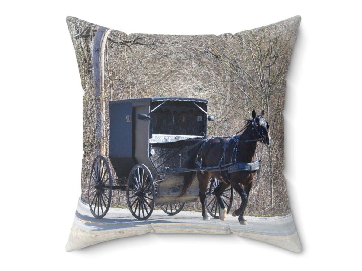 A pillow printed with my photograph of an Amish buggy